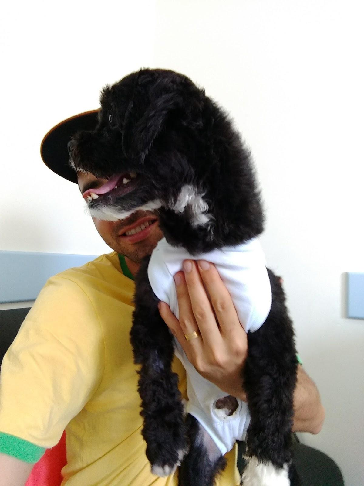 Onco Cane Veterinária