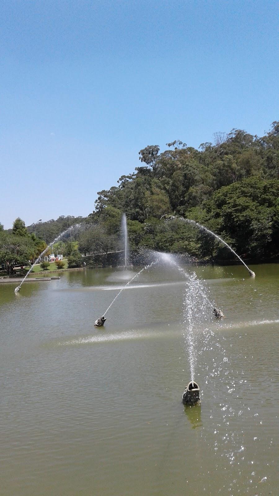 Veterinary Clinic Airport