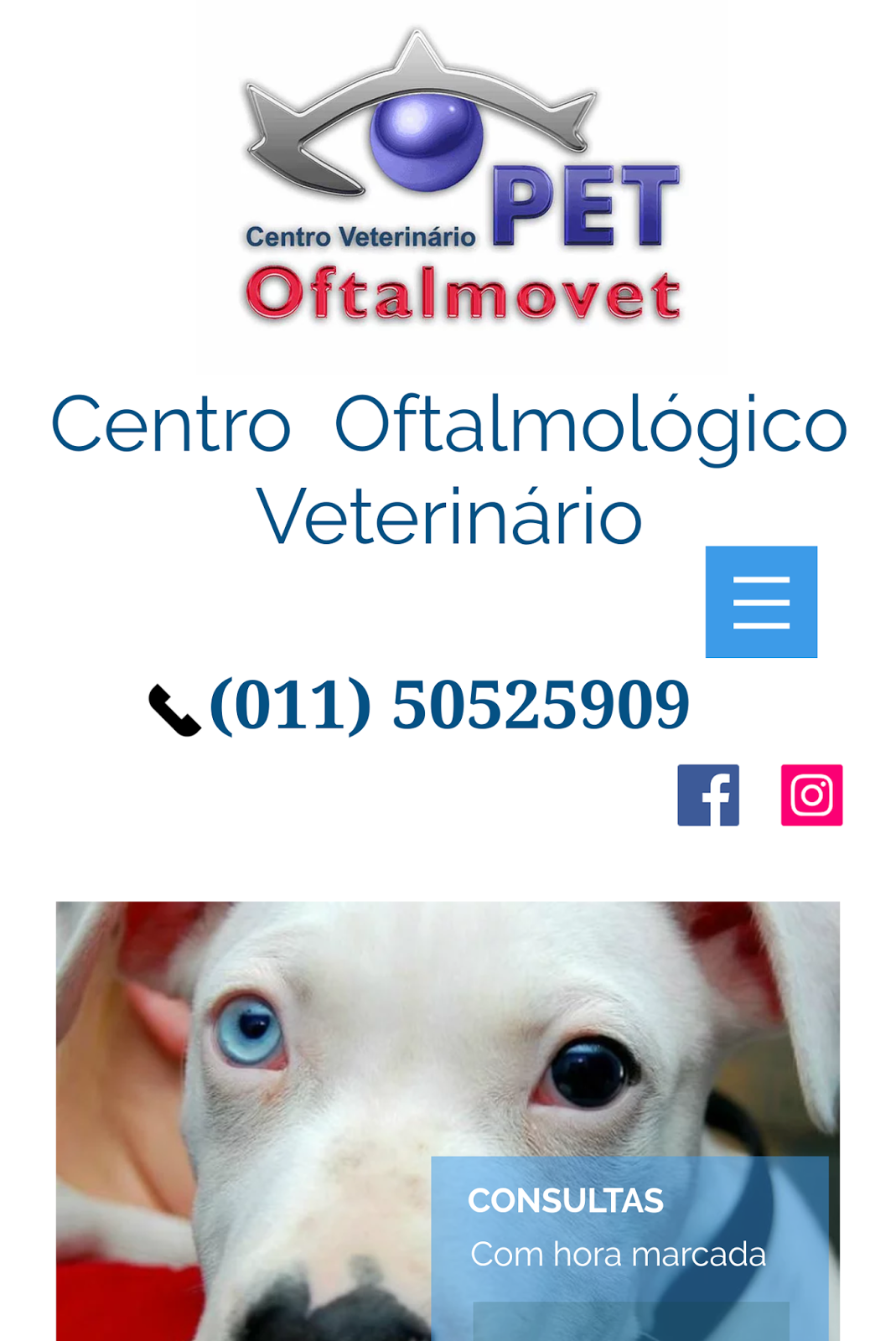 Petoftalmovet Centro de Oftalmologia Veterinário