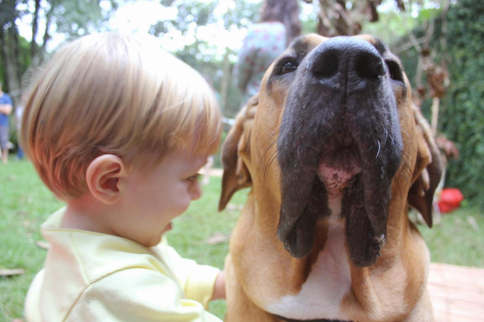 LAB & VET Diagnostic and Veterinary Consulting