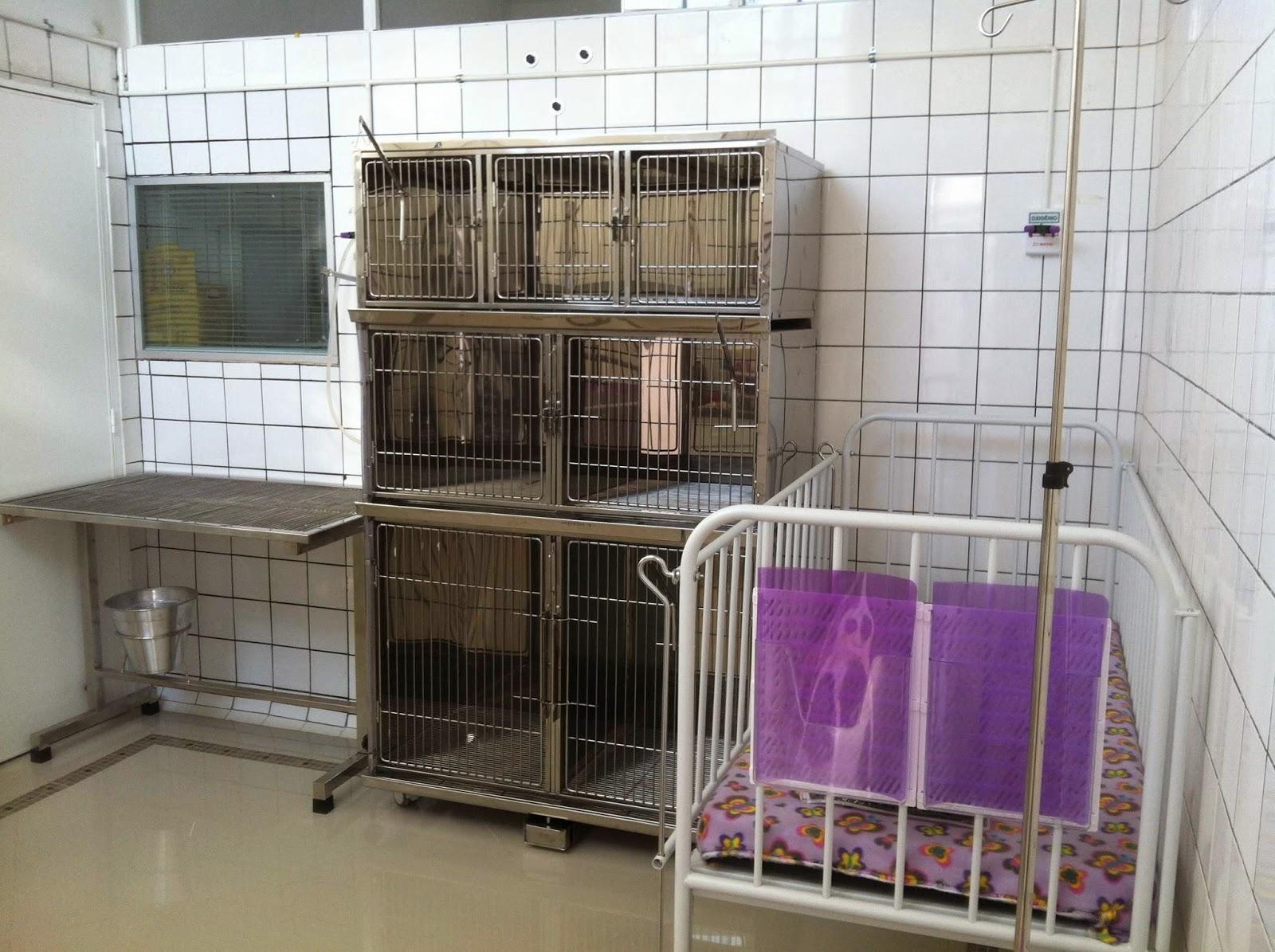 VETICA 24h - Veterinária Especializada em Terapia Intensiva e Cuidados Animais