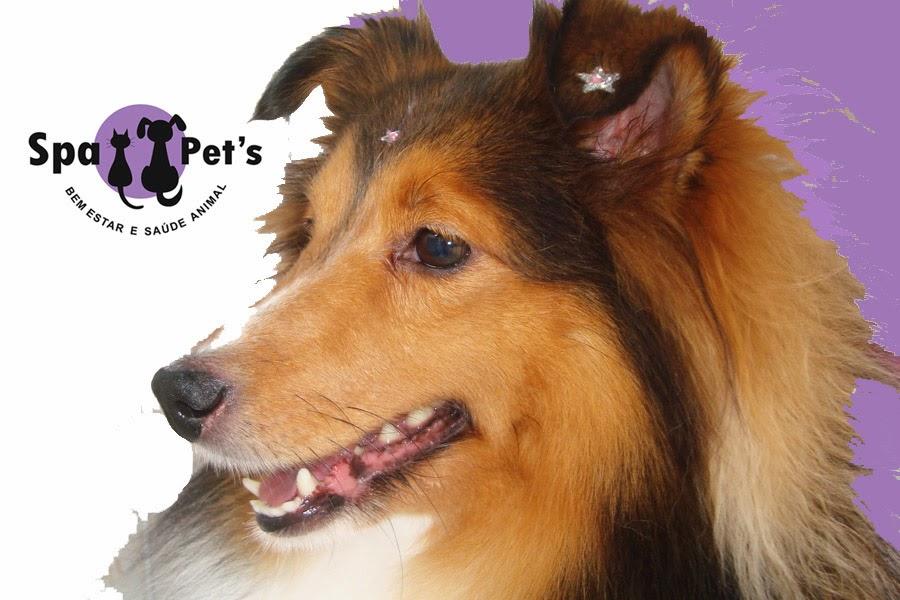 Spa Pet's - Pet Shop - Banho e Tosa - Caxingui / Morumbi
