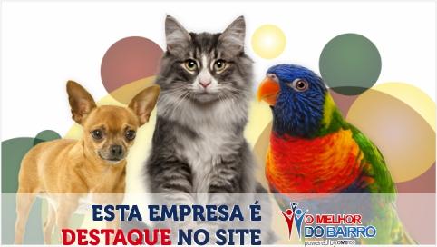 Hospital Consani Vet