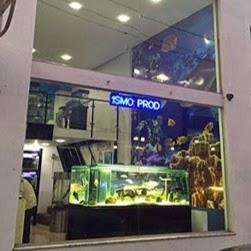 Dr. Fish - Soluções em Aquarismo e Veterinária