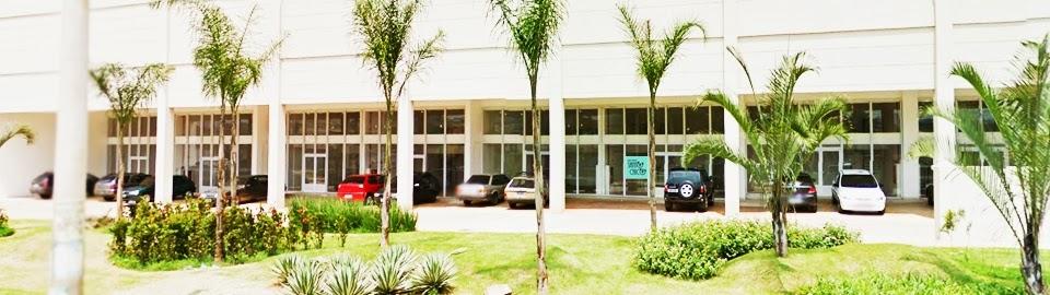 Pet Store Santo Chico