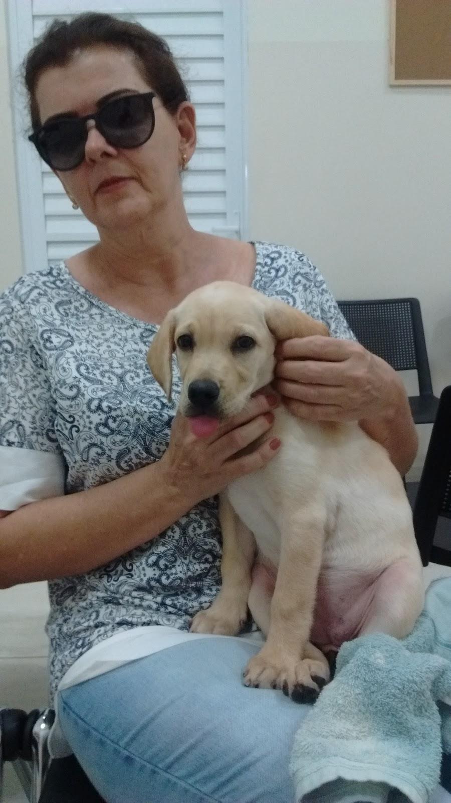 Clínica Veterinária Dra. Cláudia Stefanini