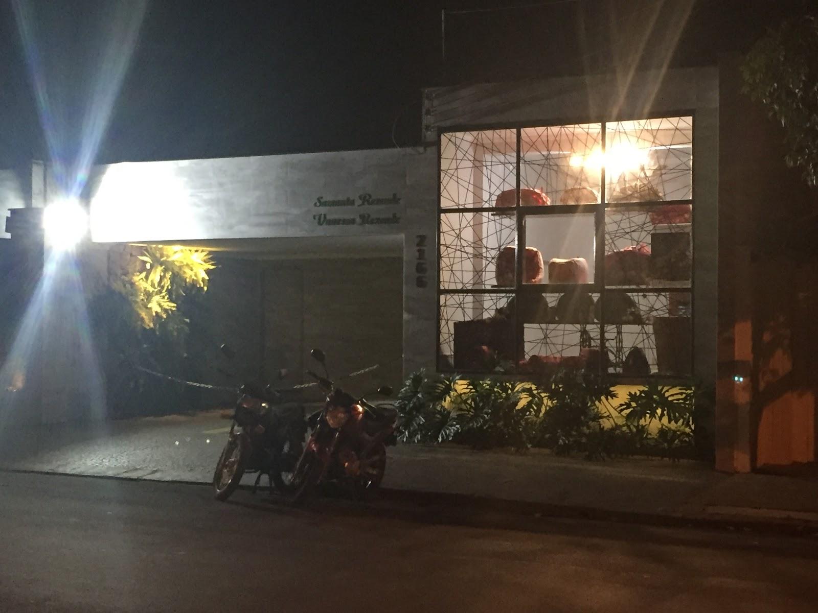 Clinvet -cães e Gatos