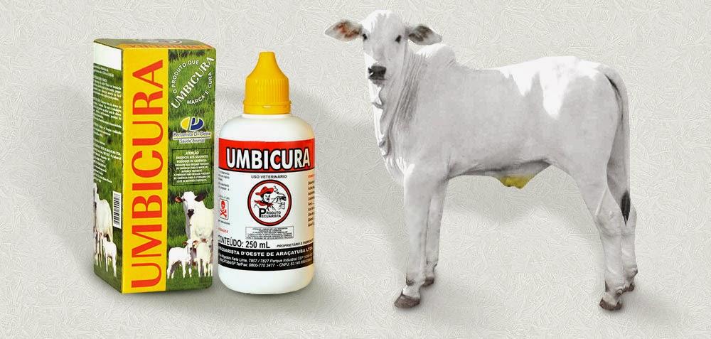 Umbicura: O produto que marca e cura.