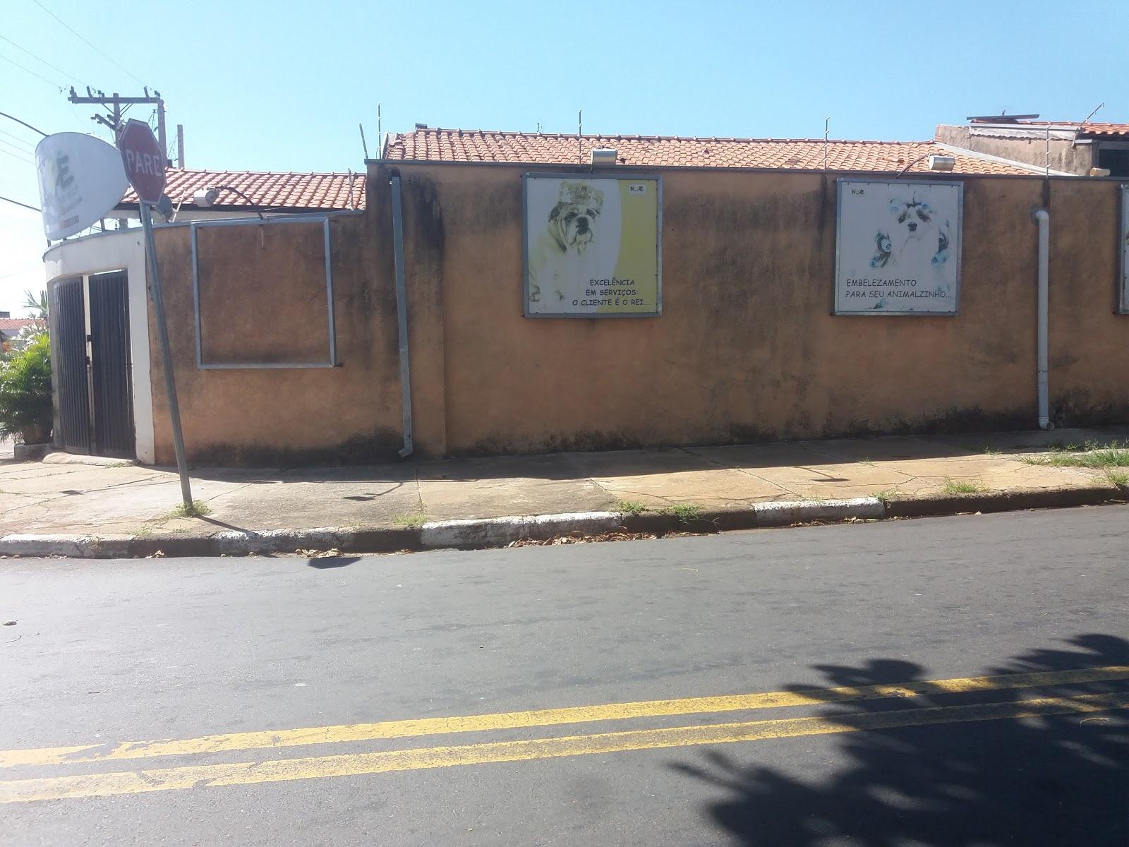 CLINICA VETERINARIA ARCA DE NOE - 3281-2126