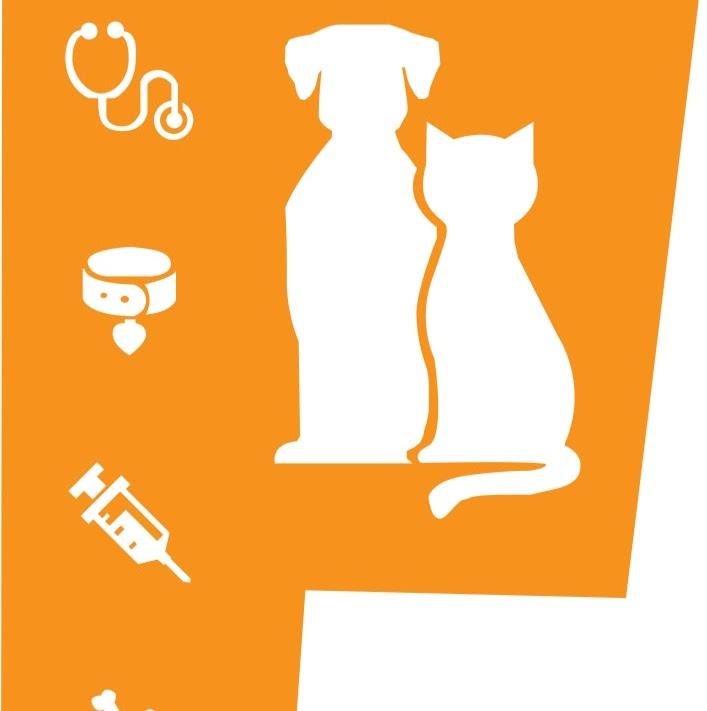 Clínica Veterinária Toledo