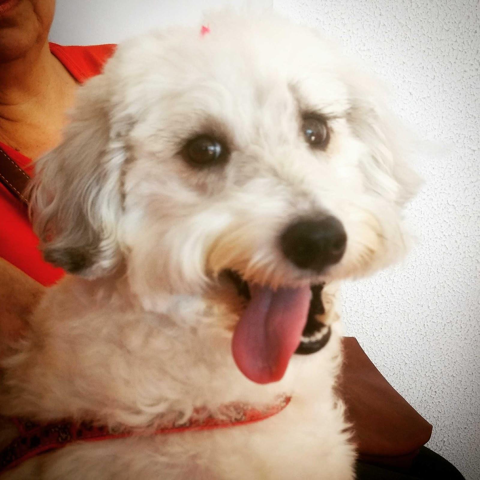 Veterinary Complex - Southern Cross University