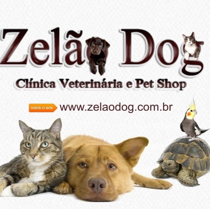 Dra. Fabiana Anselmo Rosa