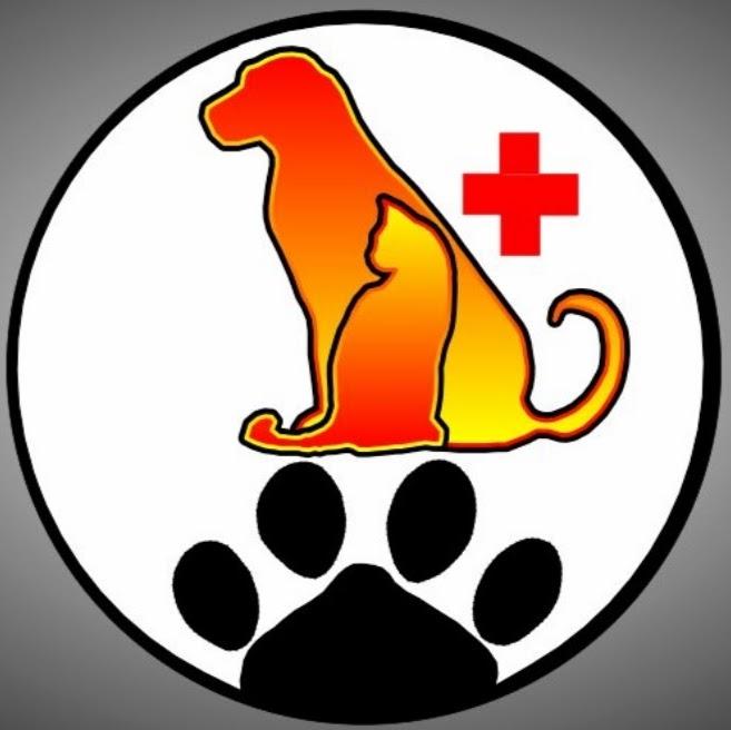 Bolinha Pet Shop