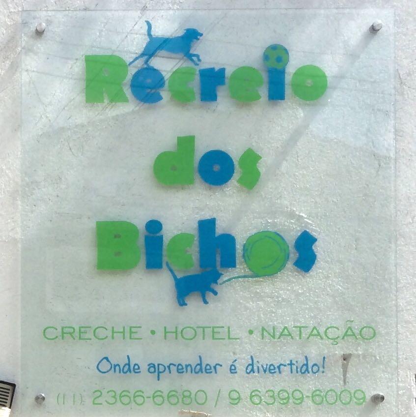 Recreio dos Bichos Creche - Hotel - Natação