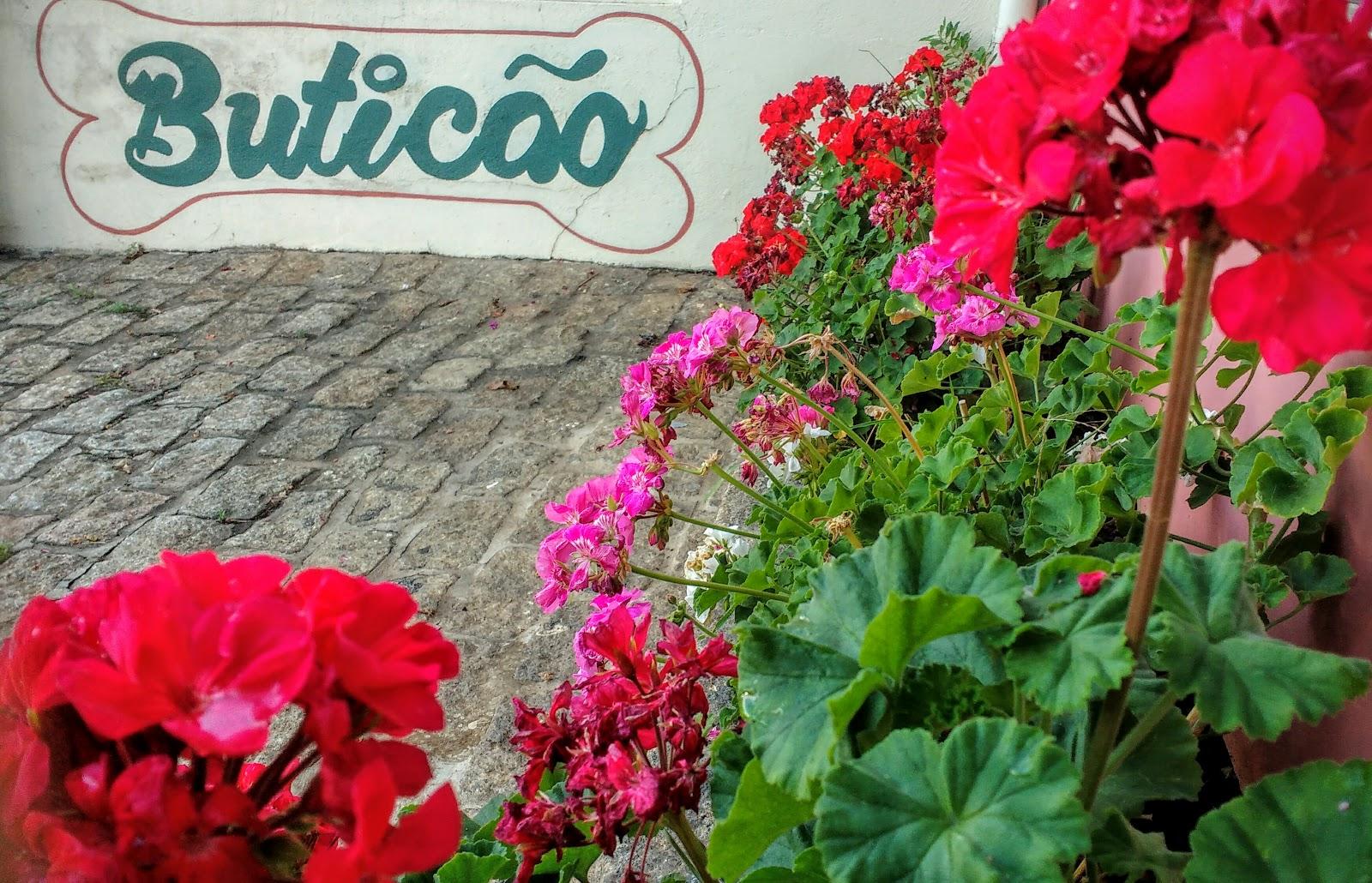 Buticão Veterinário, Hotel, Pet Shop, Banho e Tosa