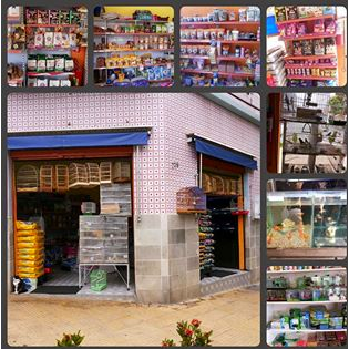 Galerinha Animal Avicultura Pet Shop