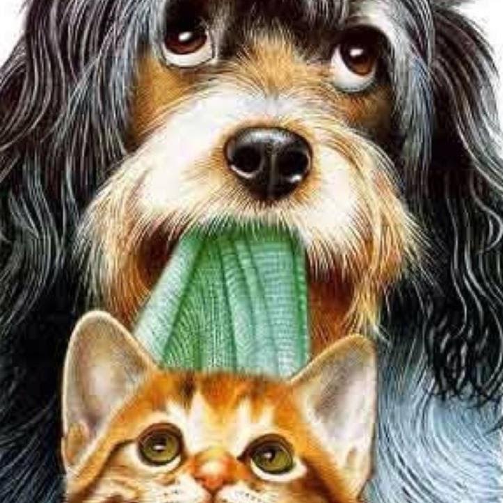 Cão de Mel Creche/Hotel & Vet