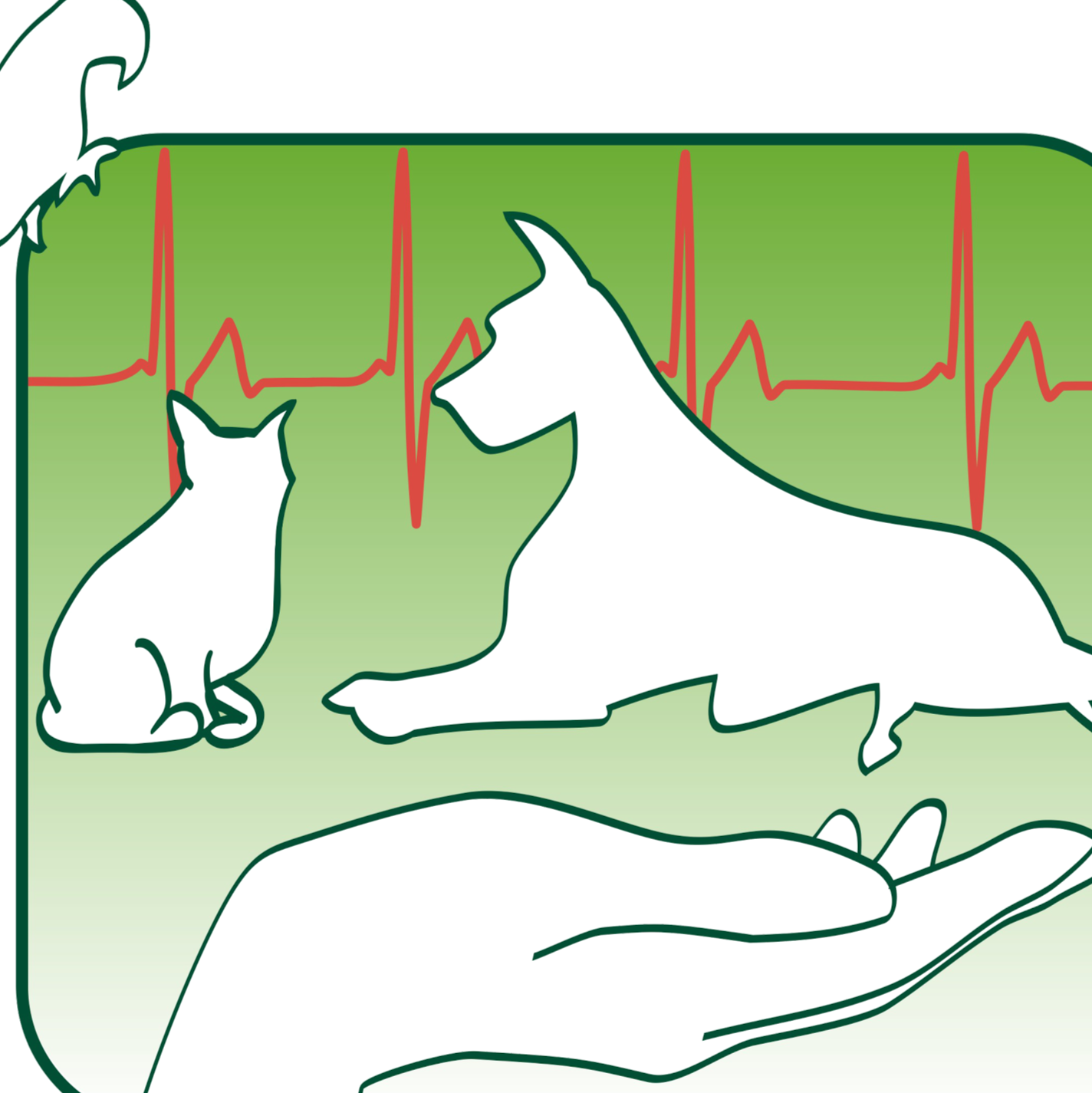 Pet Safe Clinica Veterinária