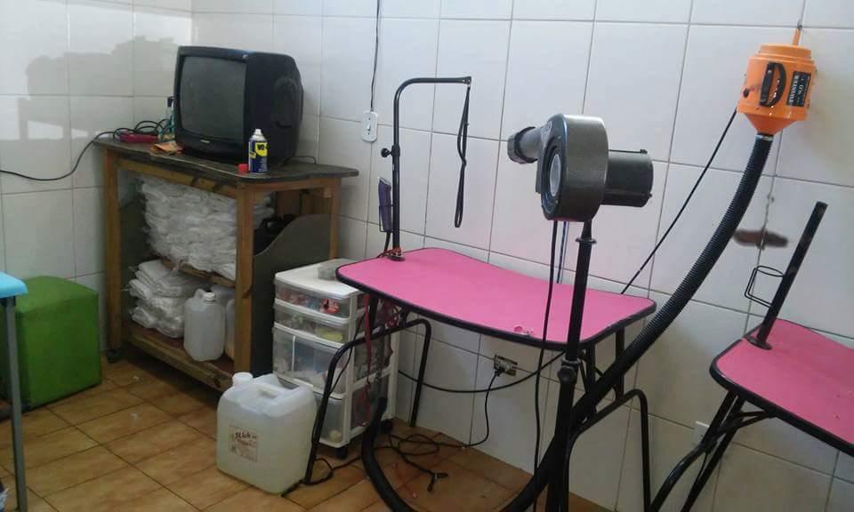 Pet Shop Cao Feliz