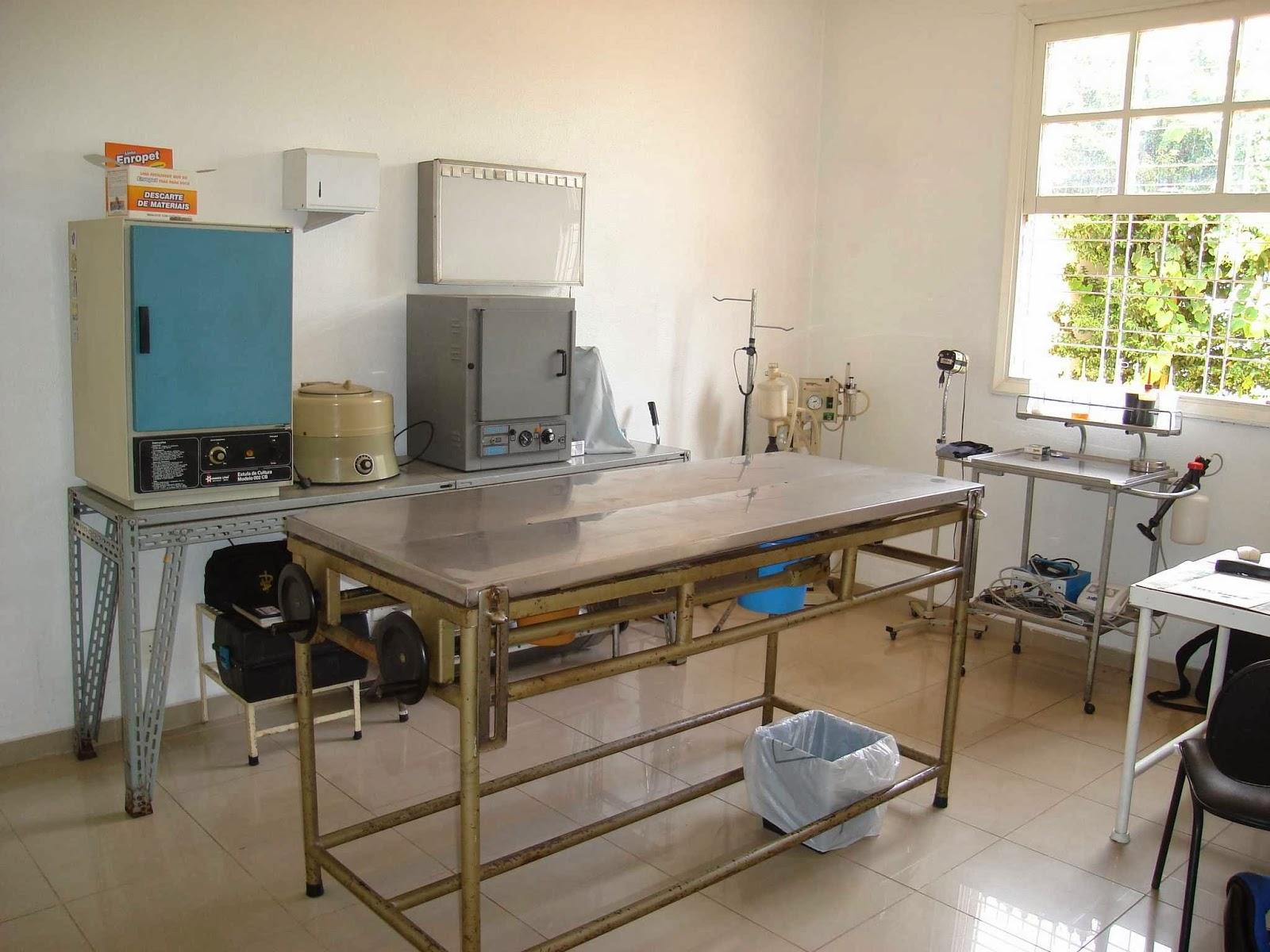 Clínica Veterinária Castelo