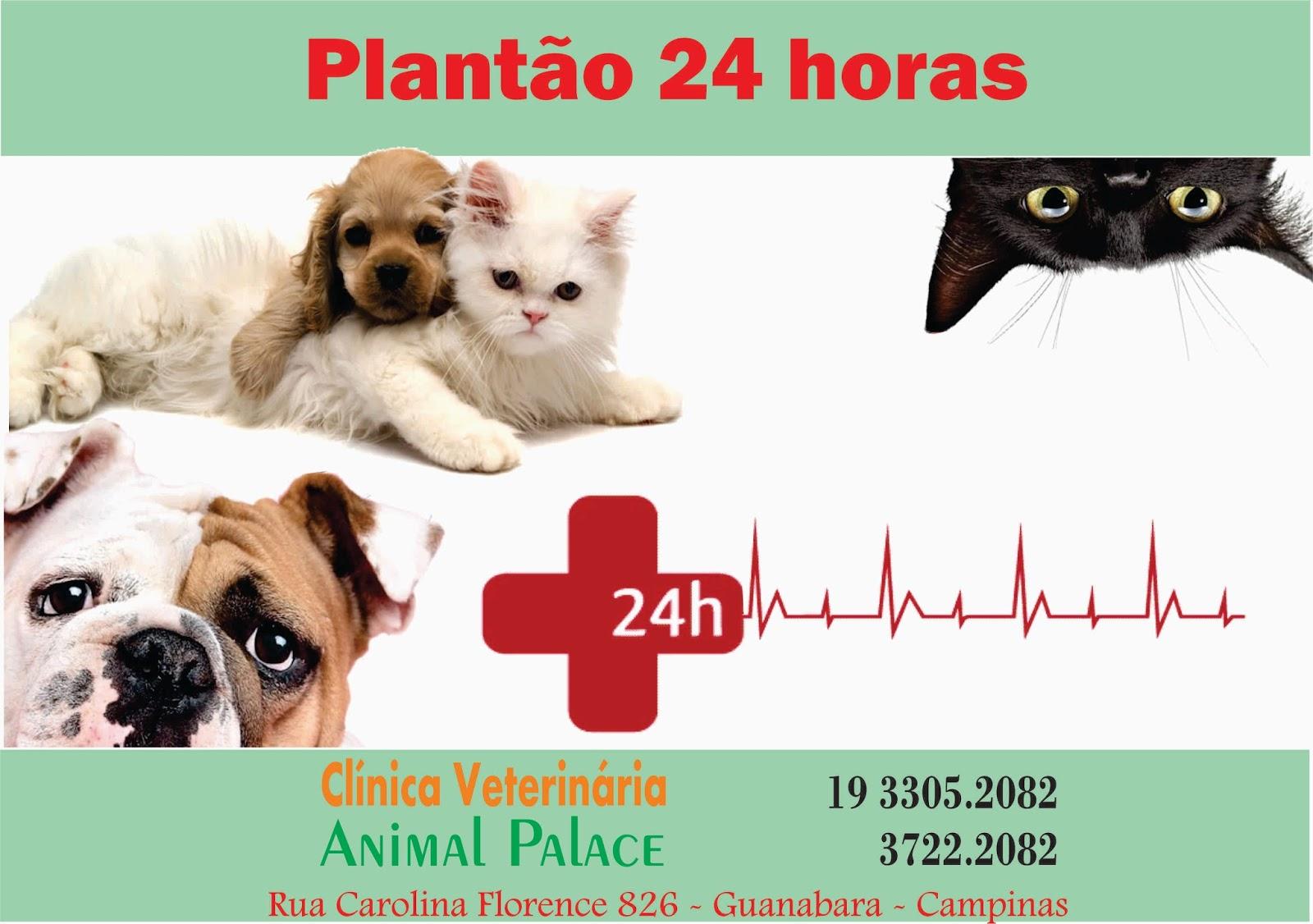 Veterinary Clinic Animal Palace