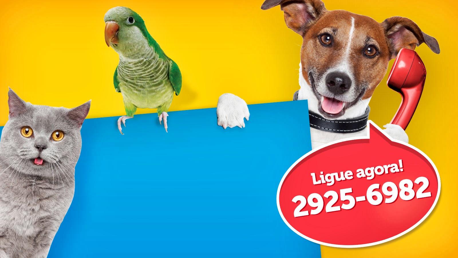 Moocão - Seu Pet Shop Delivery na Mooca