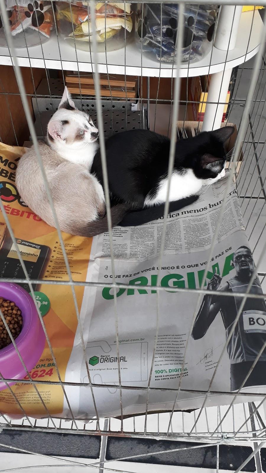 Pet Shop Nosso Bicho Veterinário Casa de Rações Guarulhos