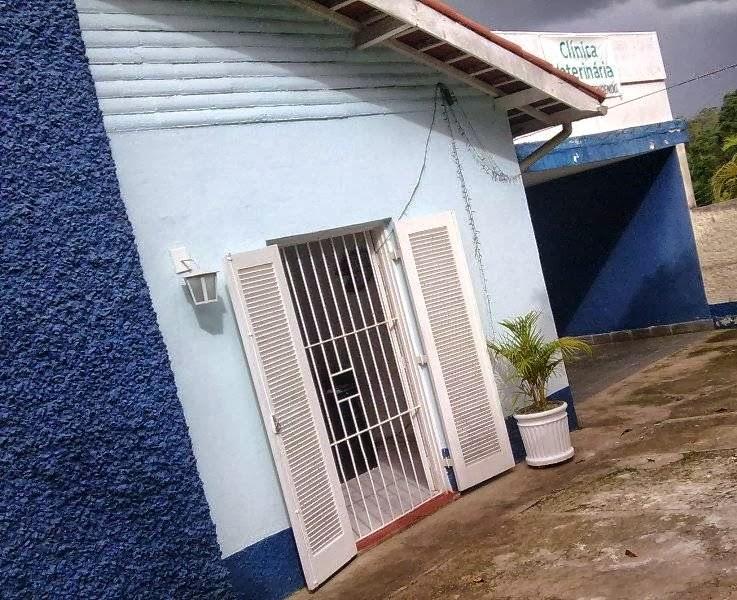 Luciana Veterinária