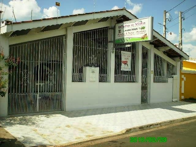 Clinica Bicho é Vida