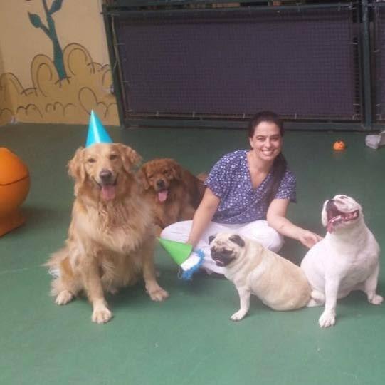 Clínica Veterinária Dra Denise Demarchi