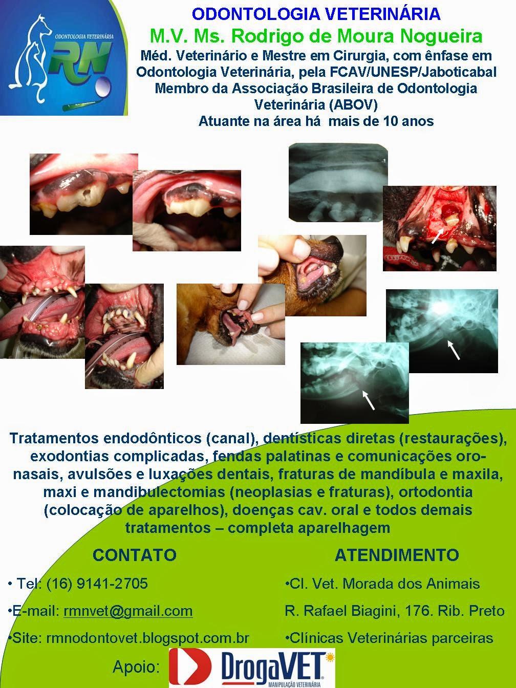 RN - Odontologia Veterinária - Rodrigo de Moura Nogueira, DVM., MSc.