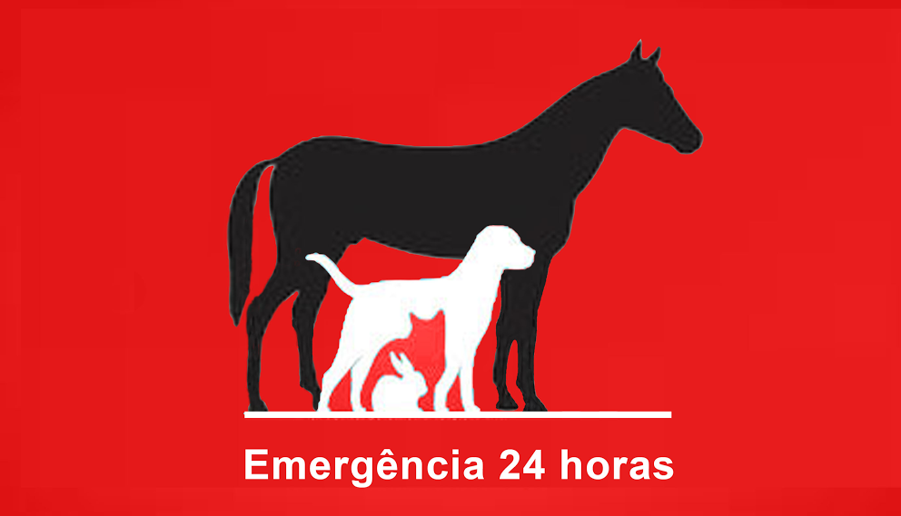 Centro Veterinario Animalis