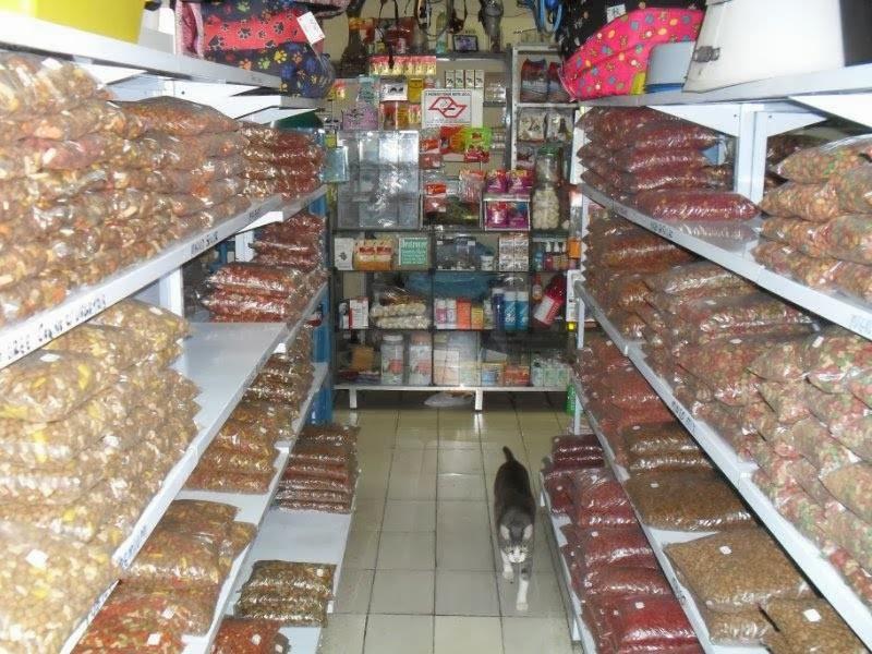 pet shop agro caes