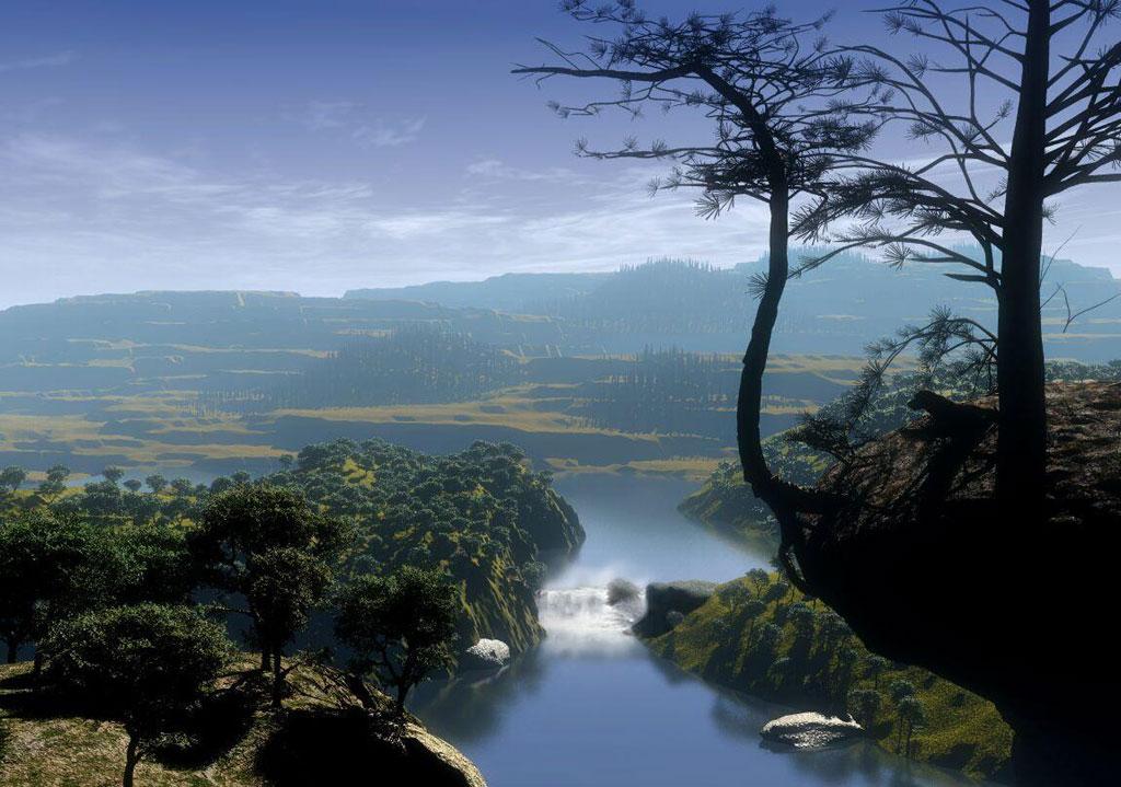 Veterinary Clinic San Francisco