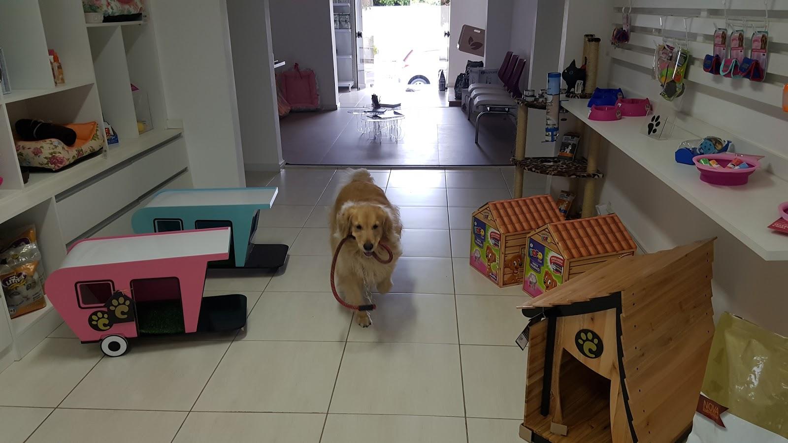 Clínica Veterinária Pet Care Itu