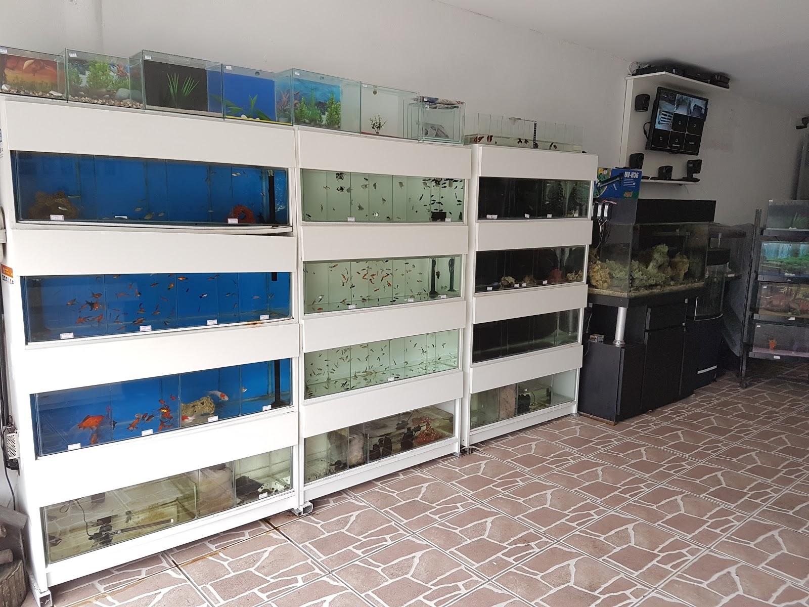 Pet Marinho Aquarismo