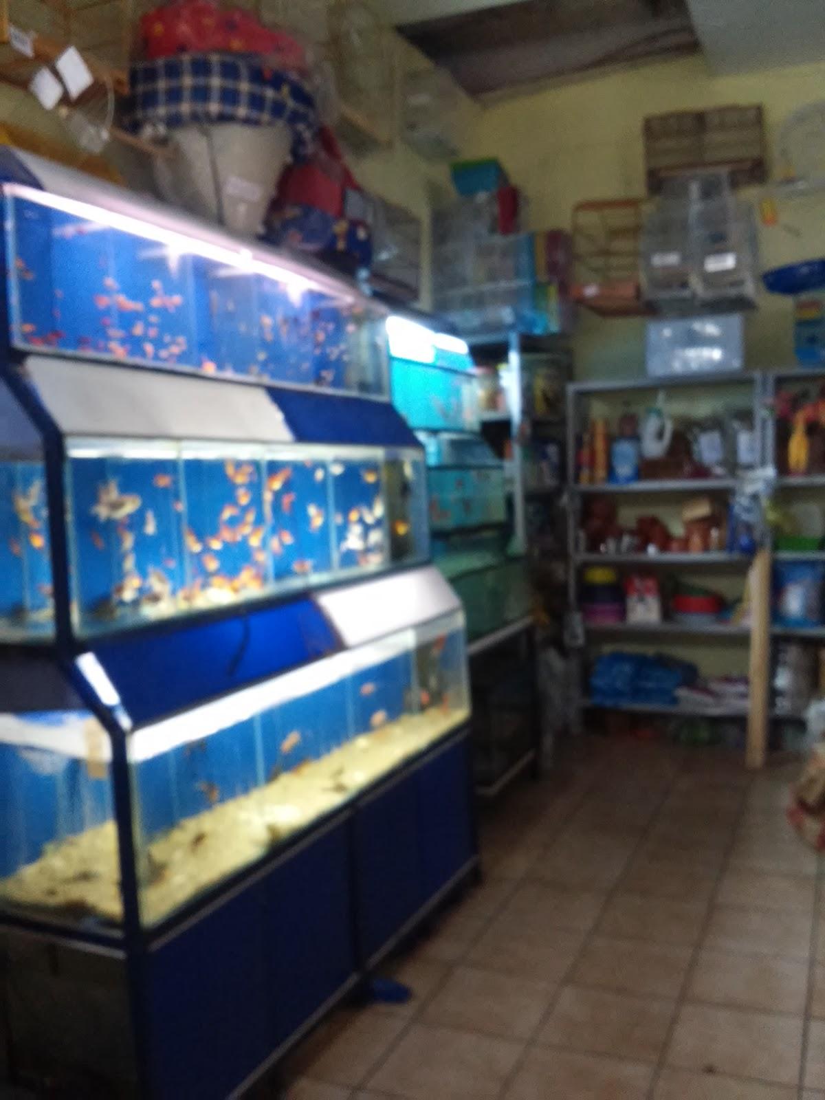 Pet shop Amigo Fiel