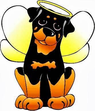 HAPPY AU Pet Shop, banho e tosa, taxi dog, produtos em São José dos Campos