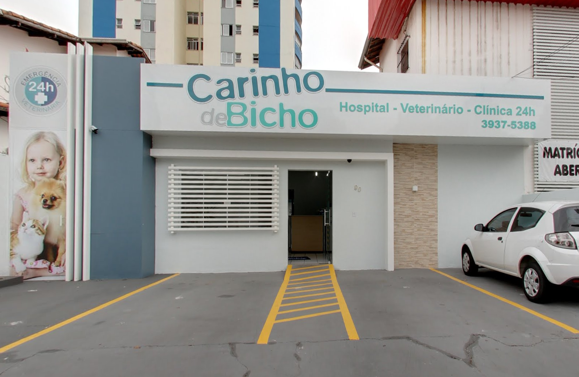 Veterinary Clinic Soft Affection