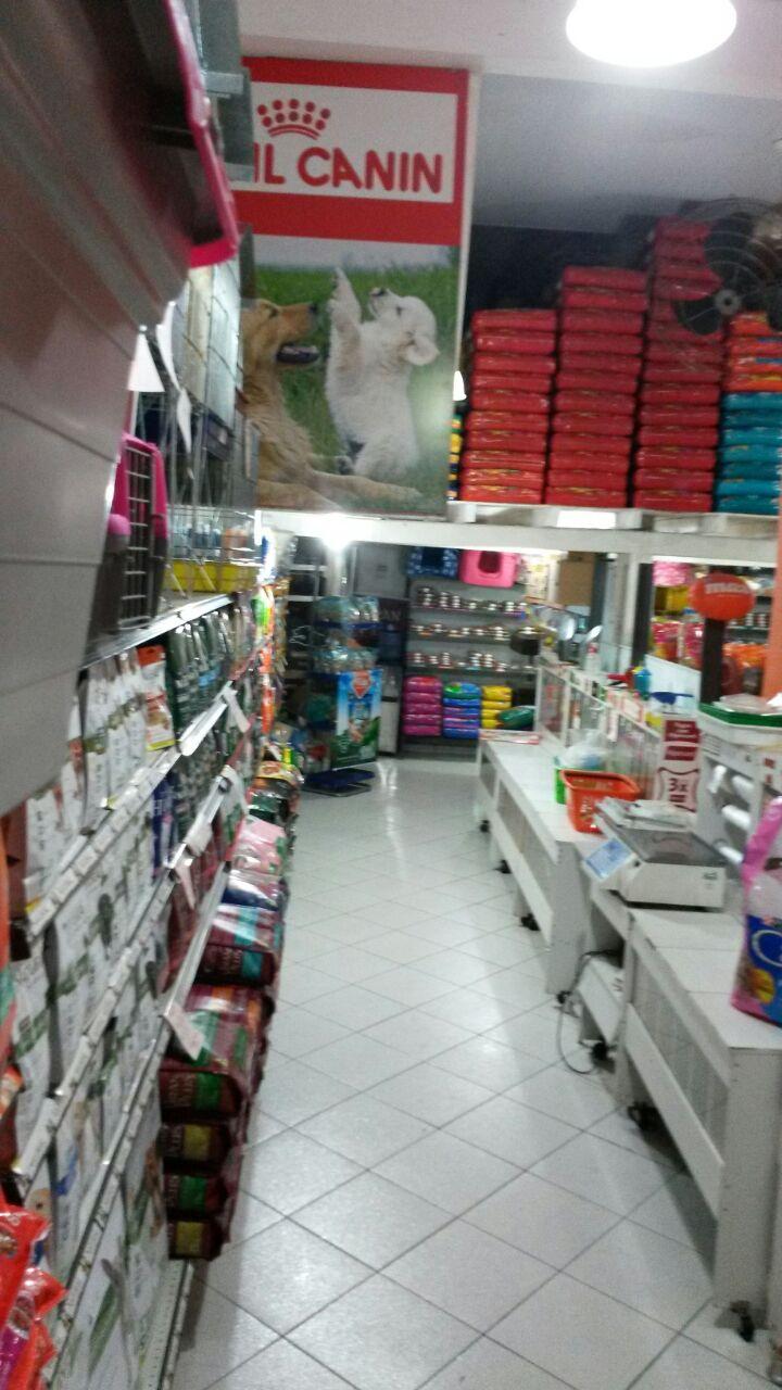 Scoobydoo Pet Center