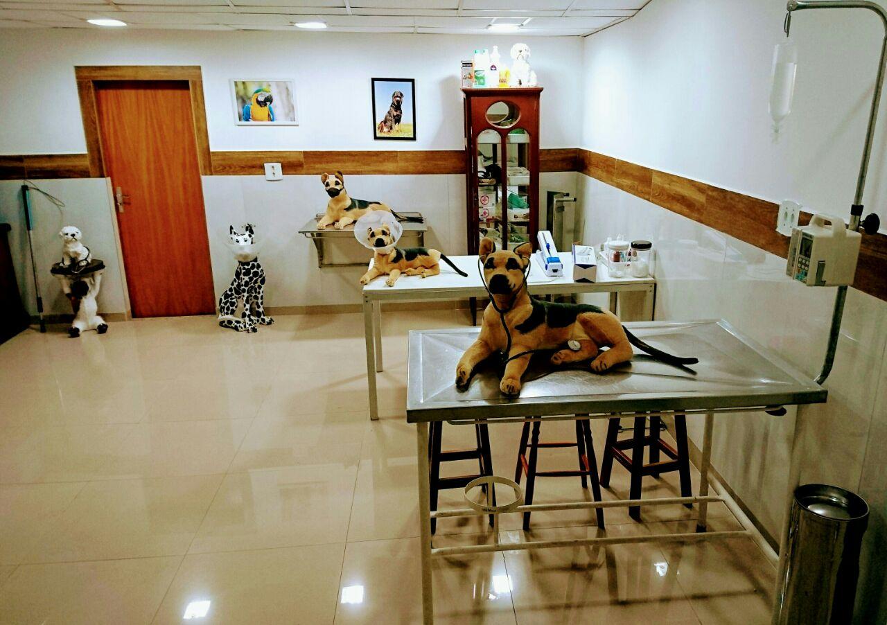 Centro Educacional De Medicina Veterinaria