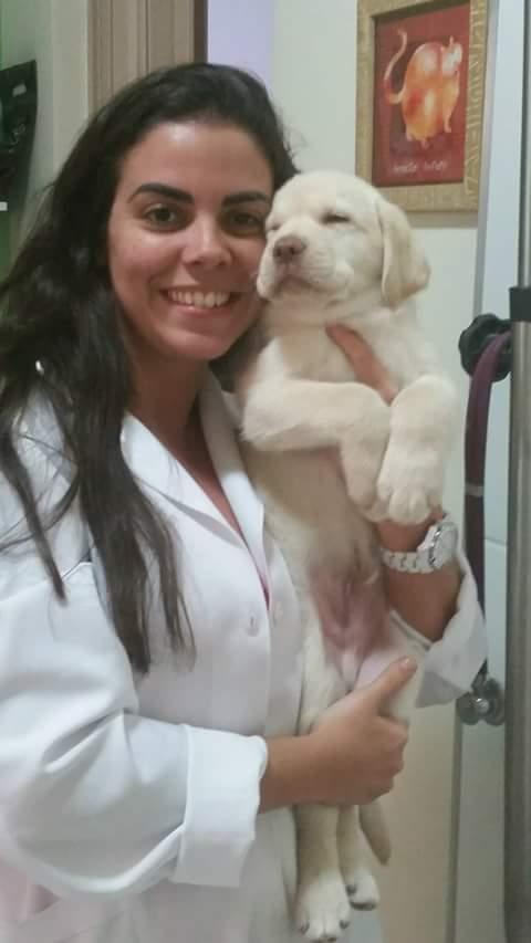 Consultório Veterinário Dra Ana Carolina Salgueiro