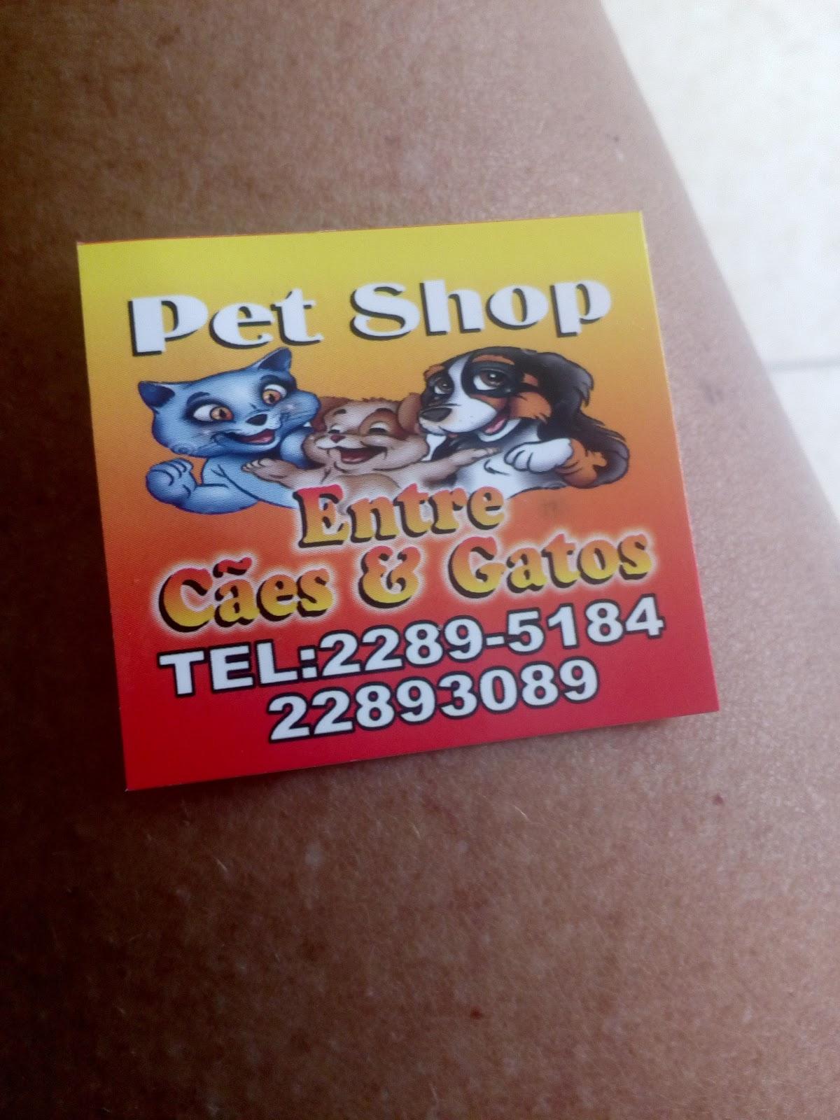 PET SHOP DOG e CAT