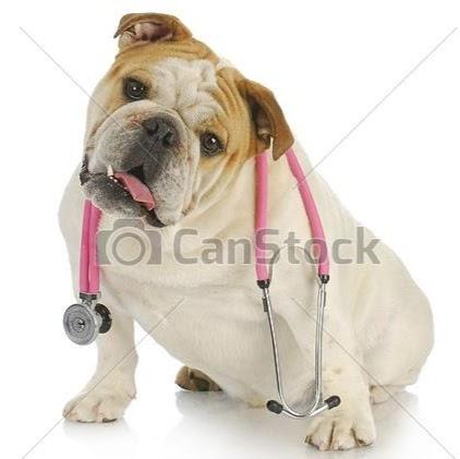 VetScan - Centro de Apoio Veterinário