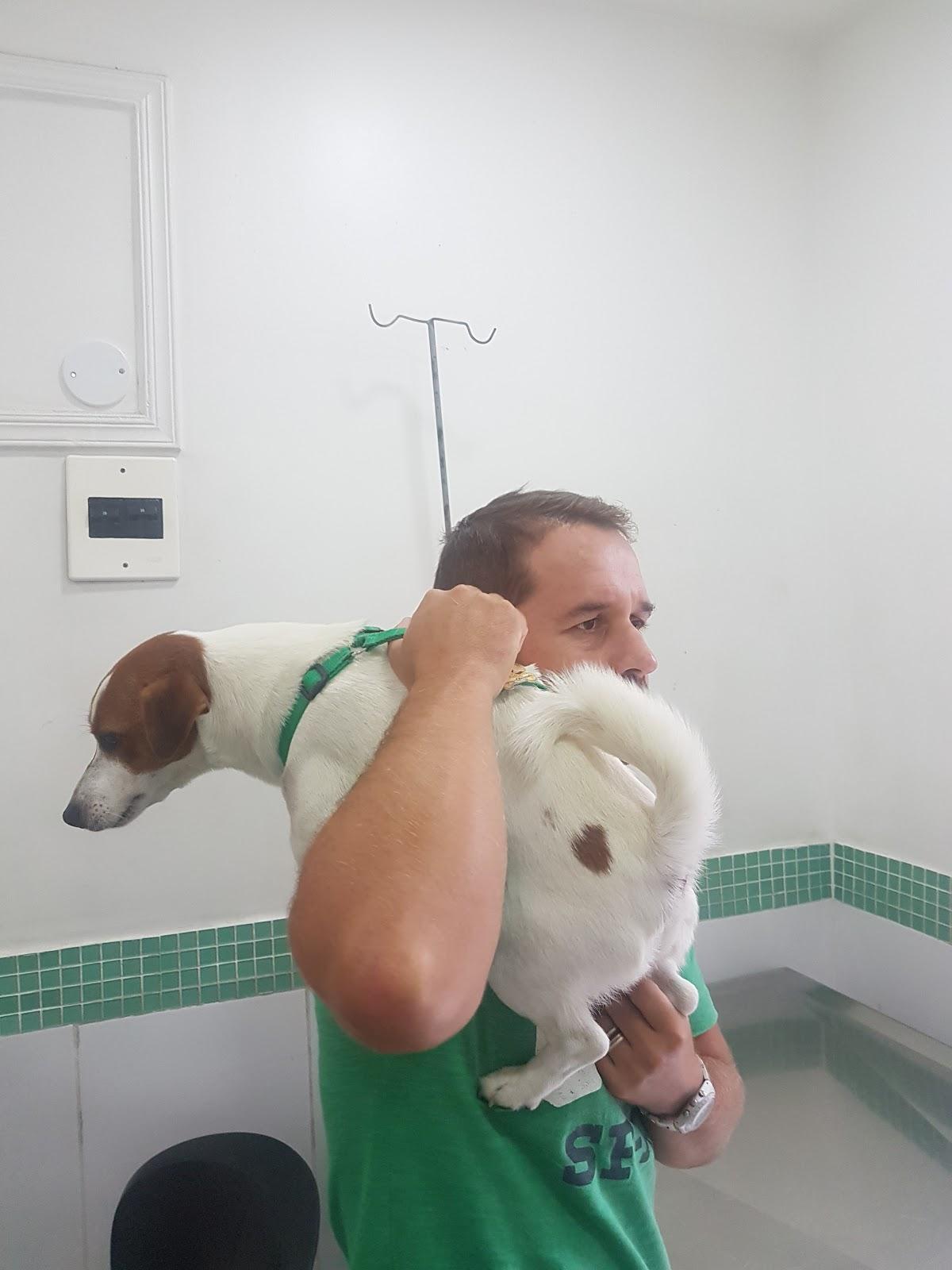 Vet Care