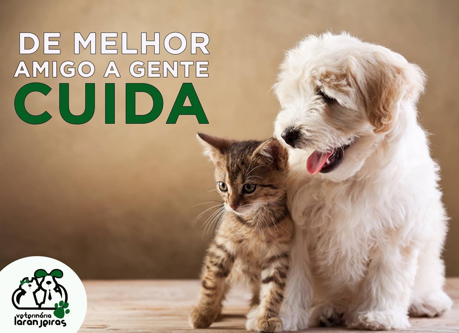 Veterinária laranjeiras