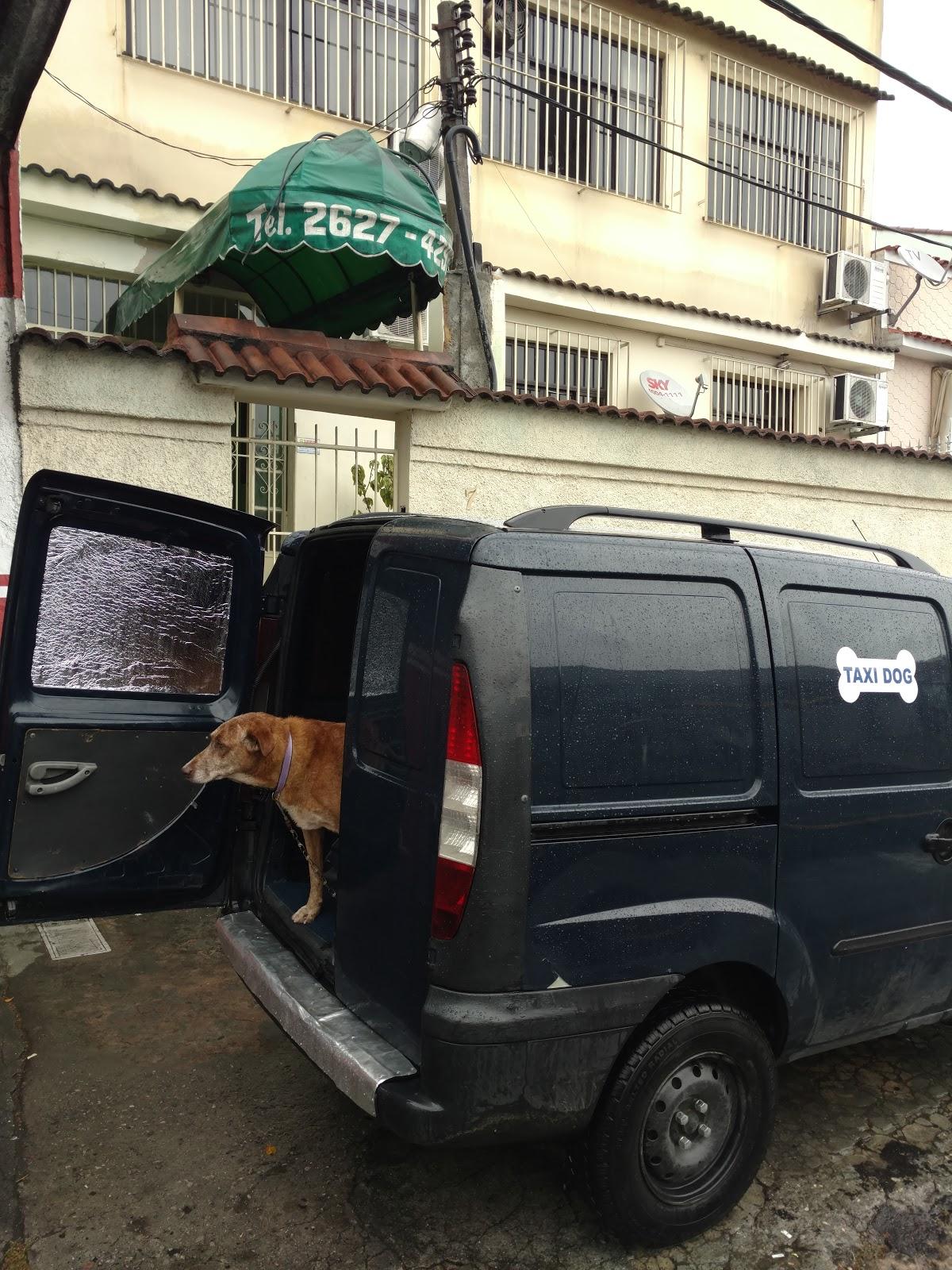 Amicão Veterinária Niterói