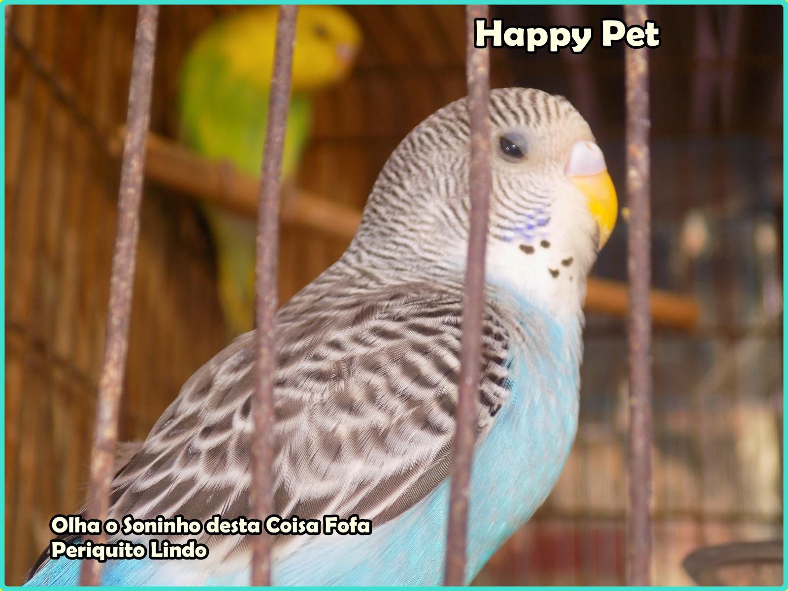 Happy Pet - Pet Shop Banho e Tosa Vacinas e Produtos de Limpeza