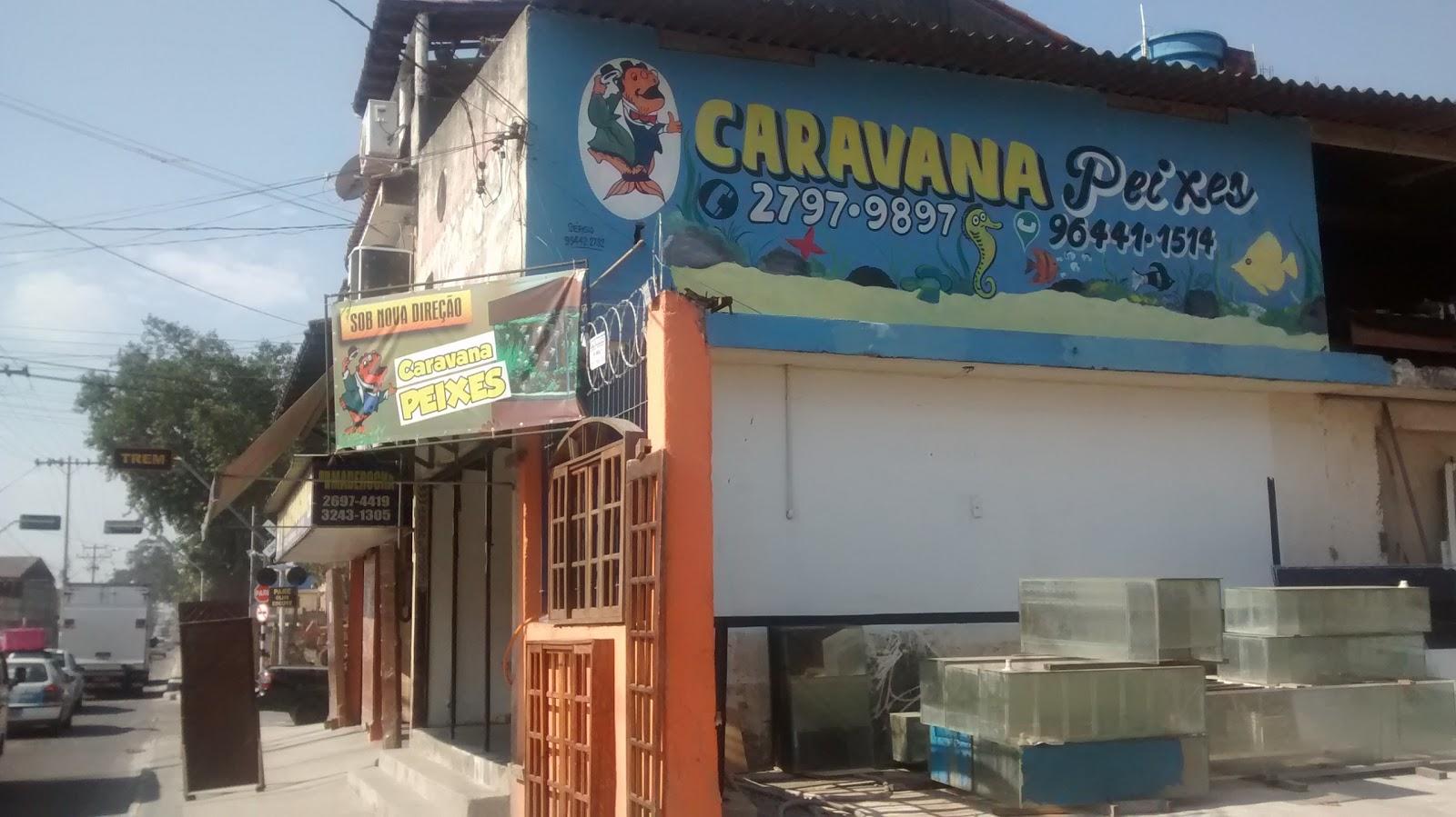 Caravana Peixes
