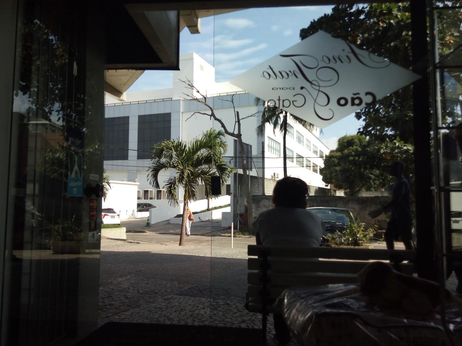 Consultório Veterinário Barra da Tijuca